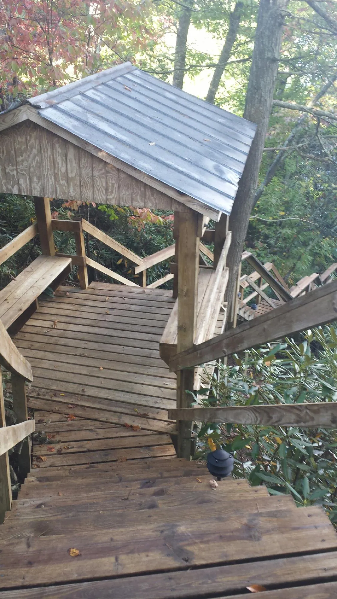 Metal roofed shelter over wooden steps on a wooded walkway — Skylight Repair & Installation work by our crew in Crocheron